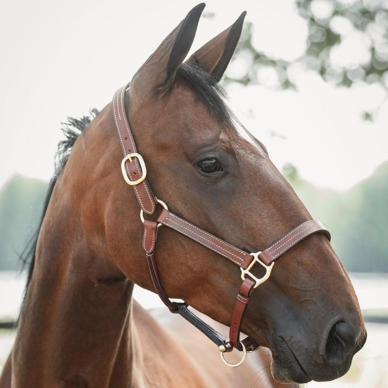 Lädergrimma Lexington Supreme Brun