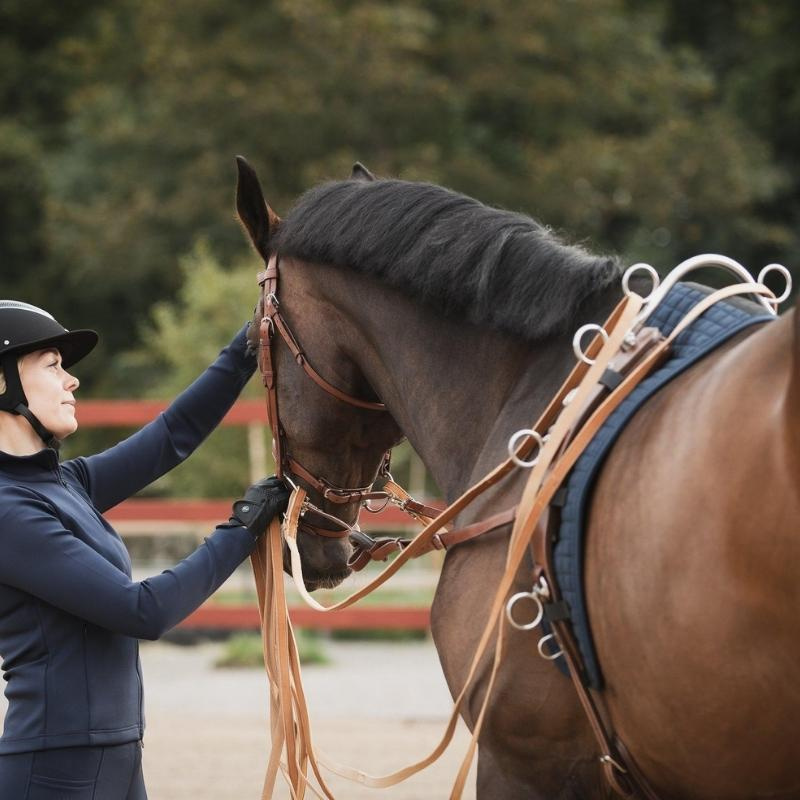 Ringbåge Hög till Tömkörning Silver 
