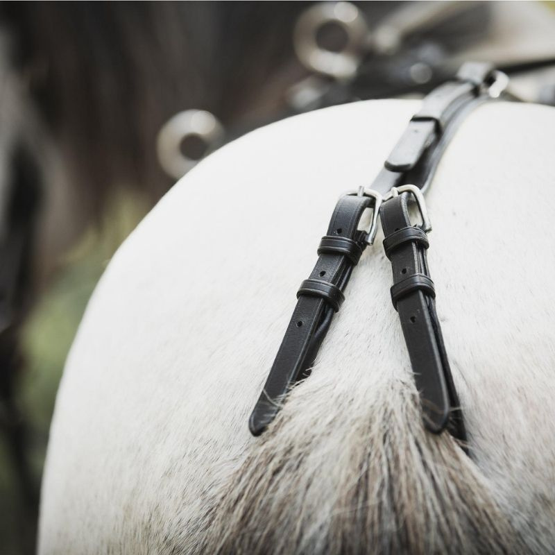 Tömkörningsgjord Shetland/Pony Svart