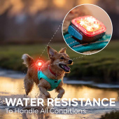 Lampa Light 01 ClipOn Svart Lampa Light 01 ClipOn Svart