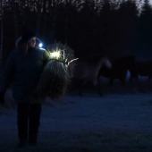 Lampa Light 01 ClipOn Svart Lampa Light 01 ClipOn Svart