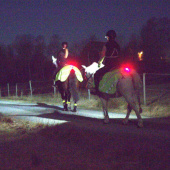 Lampa Light 01 ClipOn Svart Lampa Light 01 ClipOn Svart