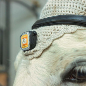 Lampa Light 01 ClipOn Svart Lampa Light 01 ClipOn Svart