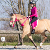 Barbackapad Fauxfur Rosa Barbackapad Fauxfur Rosa