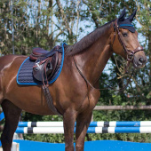 Allroundschabrak Florence Marinblå/Blå Allroundschabrak Florence Marinblå/Blå