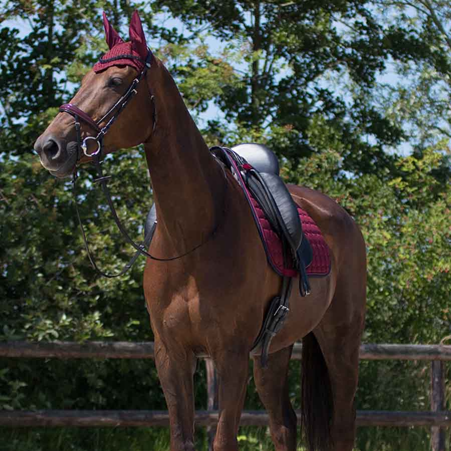 Allroundschabrak Florence Vinröd/Marinblå