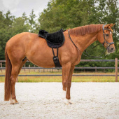 Barbackapad Super Soft Svart/Svart Barbackapad Super Soft Svart/Svart