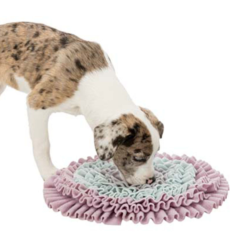 Snuffelmatta Junior Sniffing Carpet Nivå 1 Grå/Turkos/Rosa