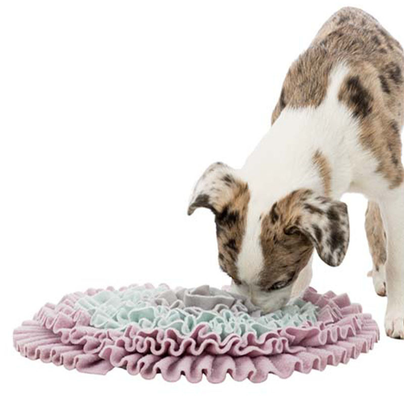 Snuffelmatta Junior Sniffing Carpet Nivå 1 Grå/Turkos/Rosa