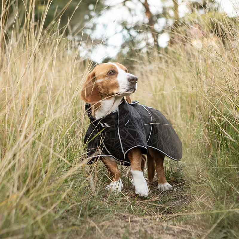 Softshelltäcke Hund Buddy 2.0 Long Back Svart