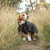 Softshelltäcke Hund Buddy 2.0 Long Back Svart Softshelltäcke Hund Buddy 2.0 Long Back Svart