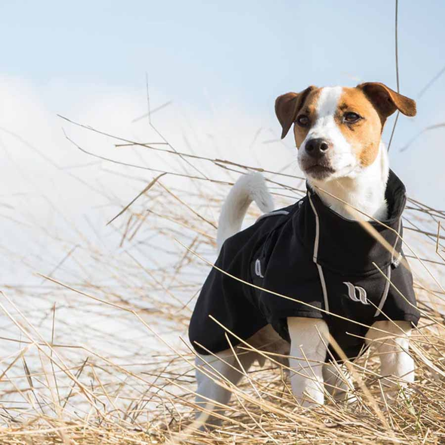 Hundtäcke Bark Svart