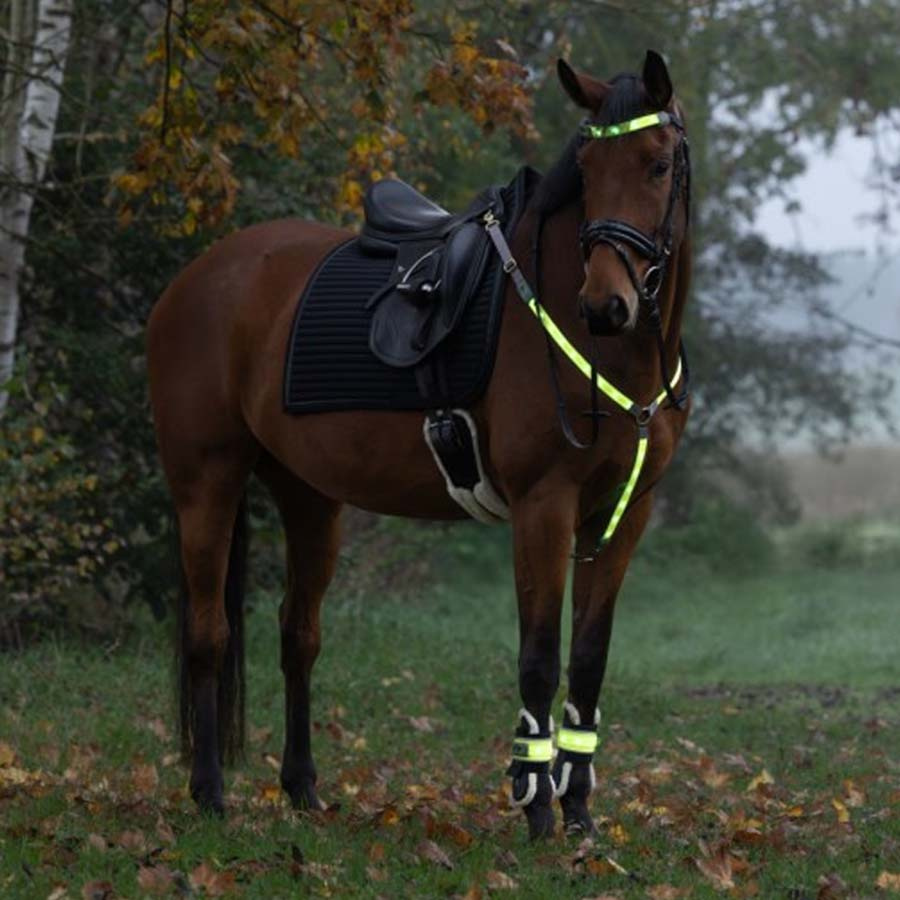Benreflexer High-Visibility LED 2-pack Gul