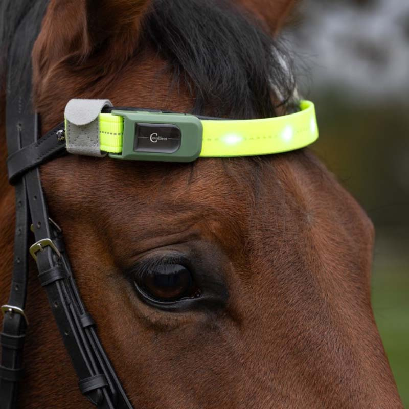 Pannband High-Visibility LED Gul
