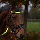 Pannband High-Visibility LED Gul Pannband High-Visibility LED Gul