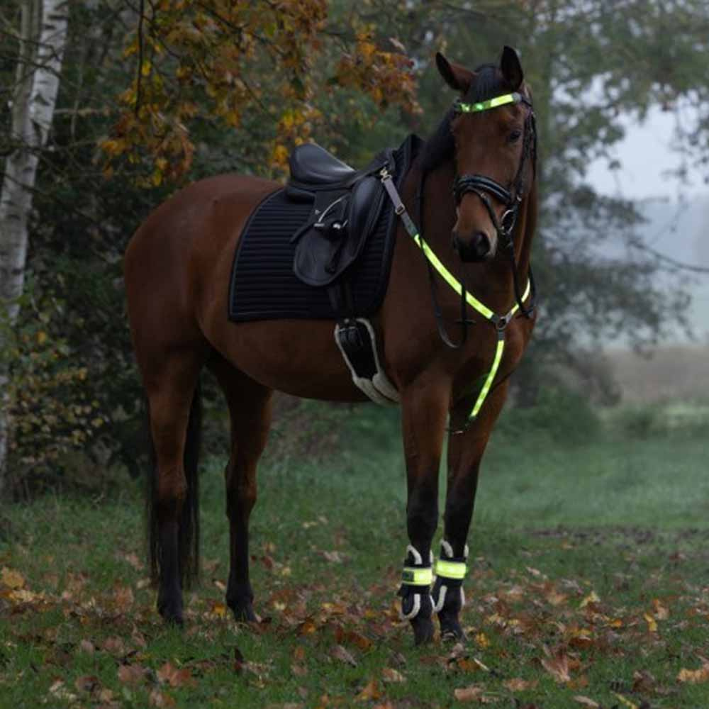 Brösta High-Visibility LED Gul