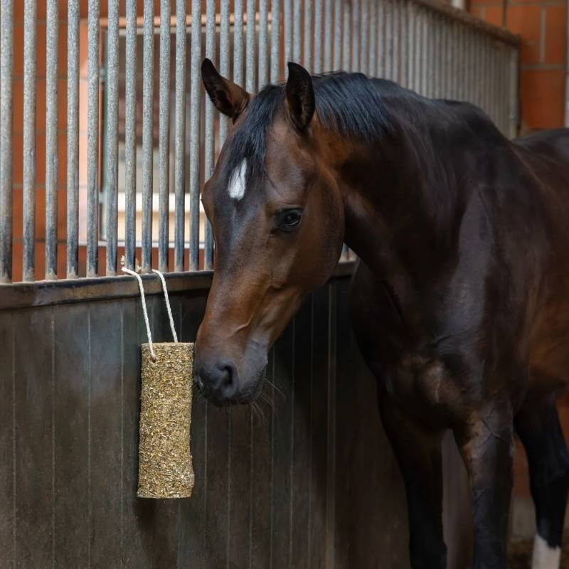 Hästleksak Nibbler Stick Metabolism