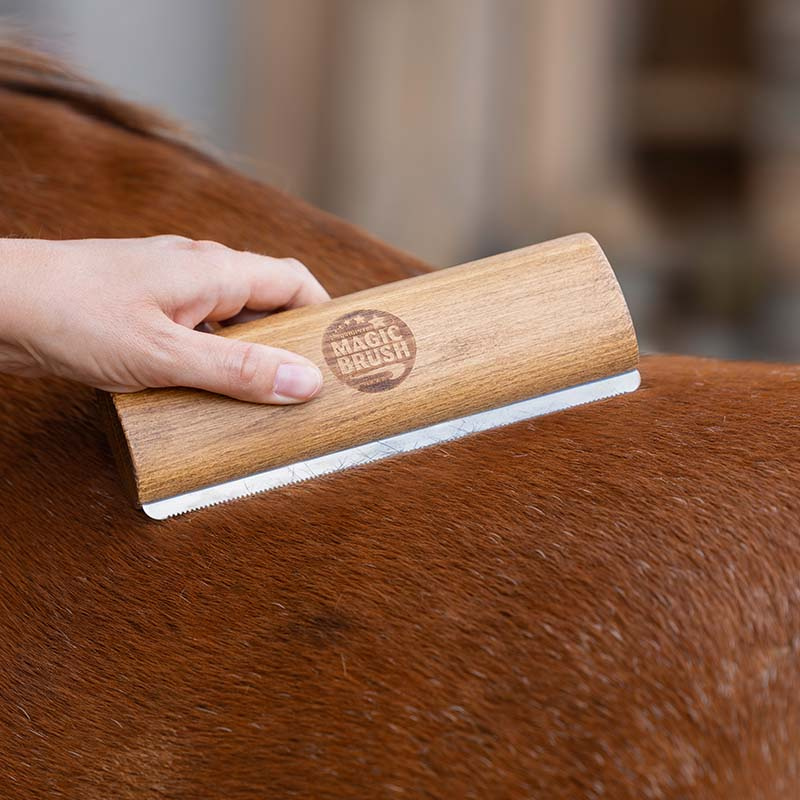 Pälsskrapa Fellboy Long Brun