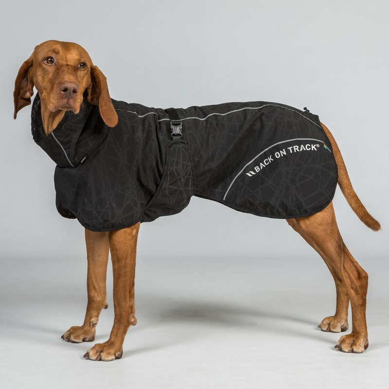 Regntäcke Hund Bay High Tail Svart