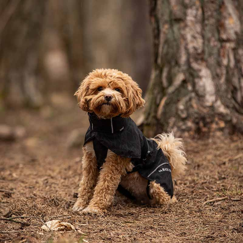 Regntäcke Hund Bay High Tail Svart