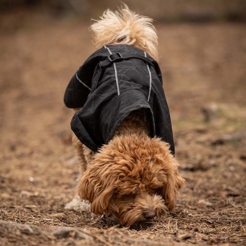 Regntäcke Hund Bay High Tail Svart