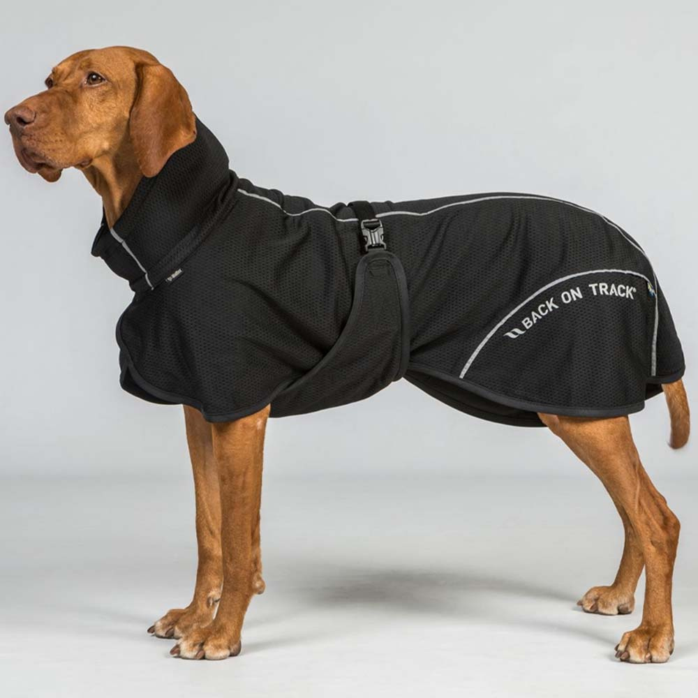 Nättäcke Hund Bay Low Tail Svart