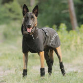 Nättäcke Hund Bay Low Tail Svart Nättäcke Hund Bay Low Tail Svart