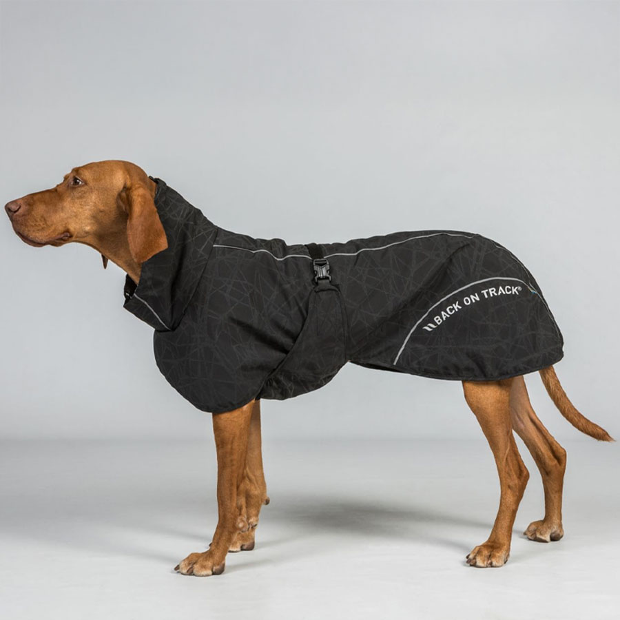 Regntäcke Hund Bay Low Tail Svart