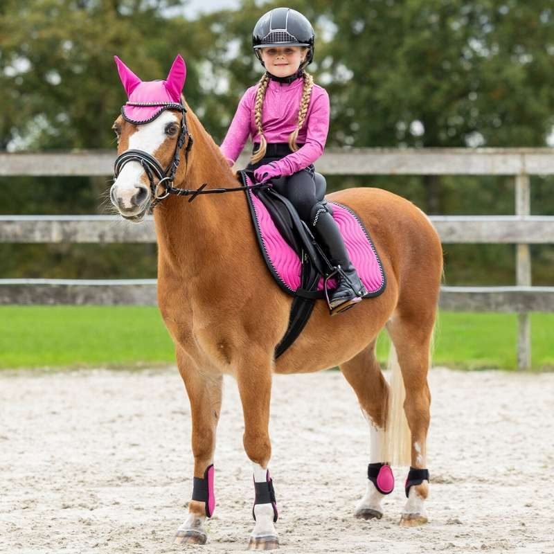 Dressyrschabrak Isalyn Rosa