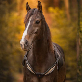Halsring Läder Whisper NH Svart Halsring Läder Whisper NH Svart
