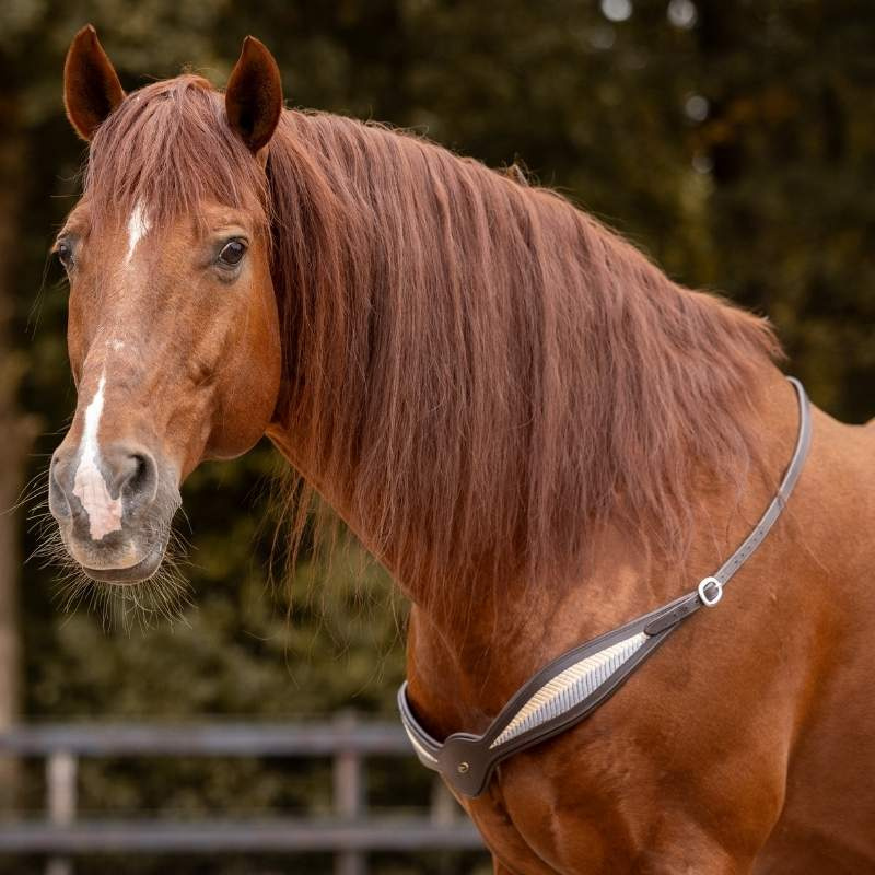 Halsring Läder Whisper NH Brun