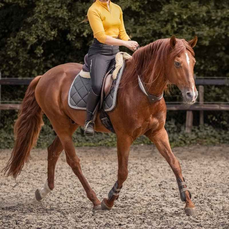 Halsring Läder Whisper NH Brun