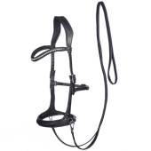Bettlöst Träns Rebecca Sidepull Svart Bettlöst Träns Rebecca Sidepull Svart