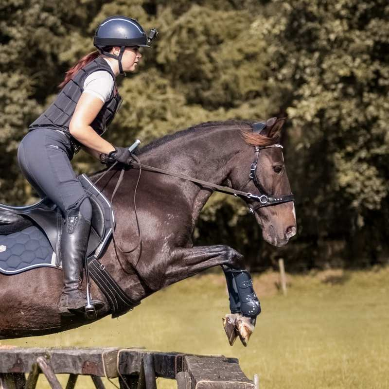 Bettlöst Träns Glory Sidepull Svart