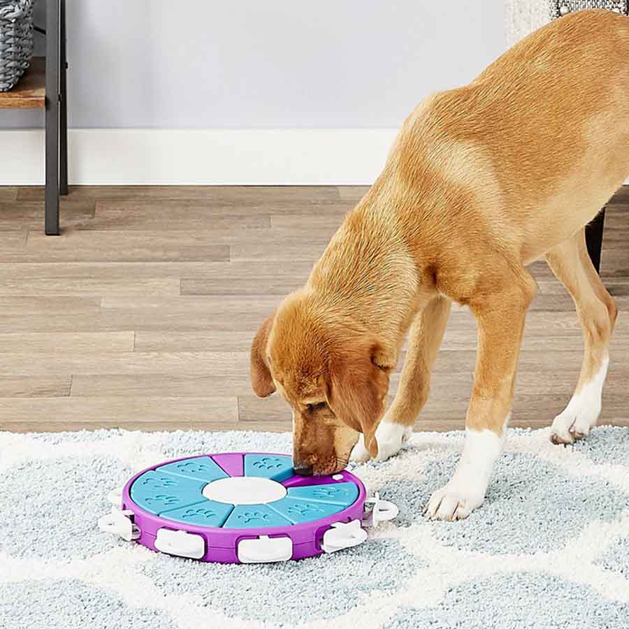 Aktiveringsleksak Dog Twister Nivå 3 Lila/Turkos/Vit