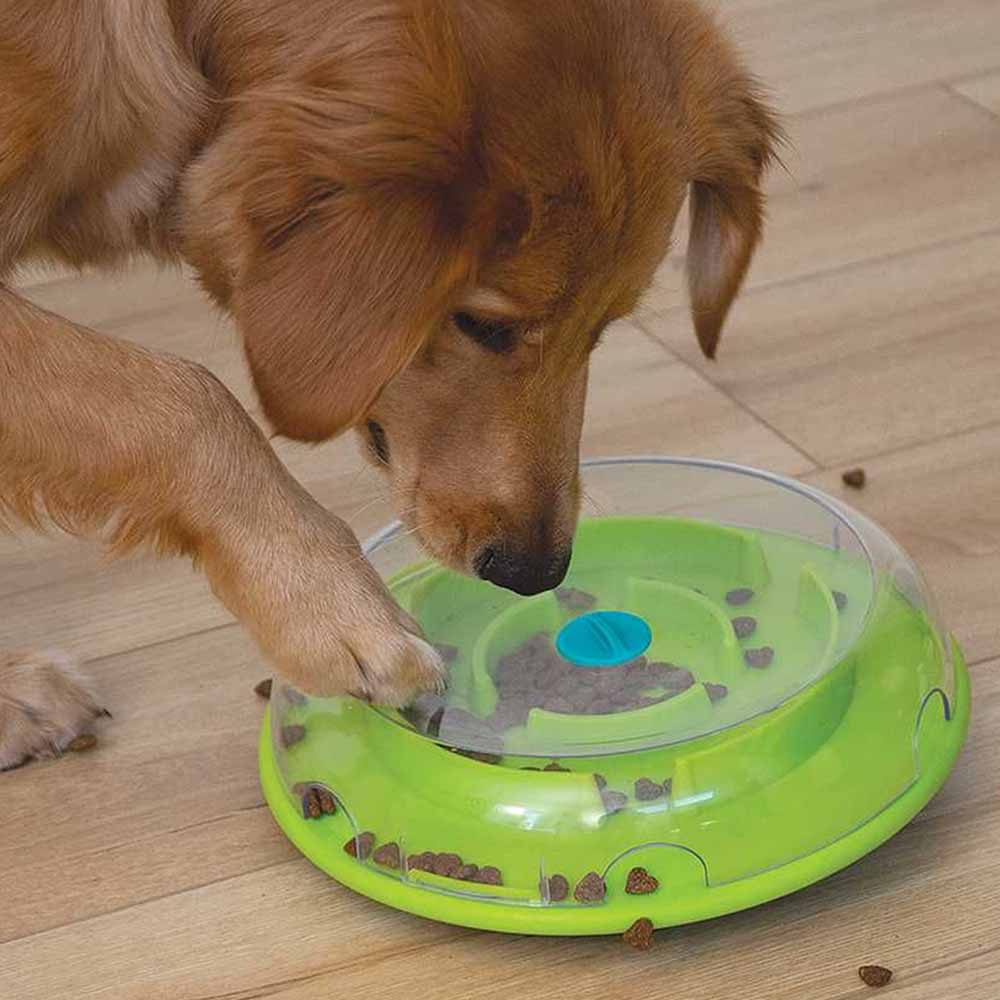 Aktiveringsleksak Wobble Bowl Nivå 1 Turkos/Grön