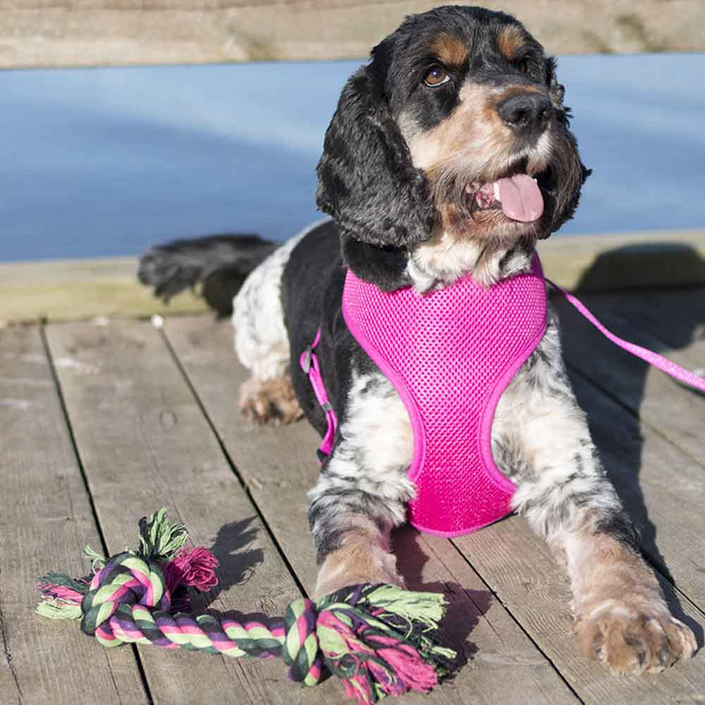 Hundleksak Vixen Rep Knutar Grön/Svart/Rosa