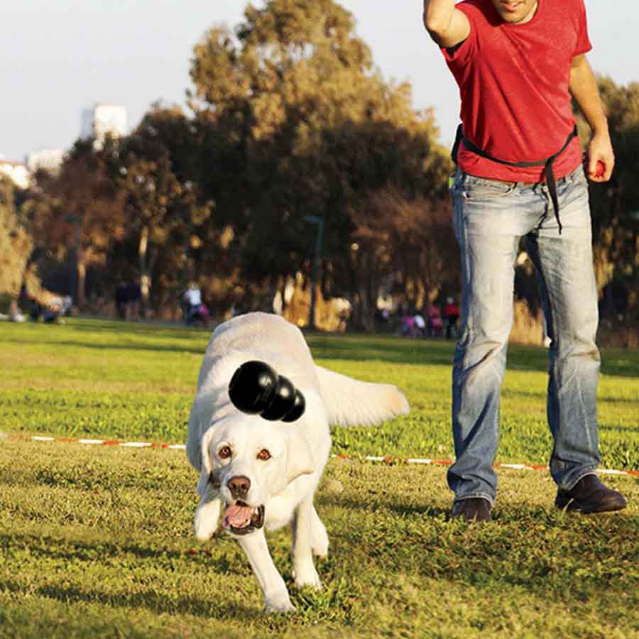 Hundleksak KONG Extreme Small Svart