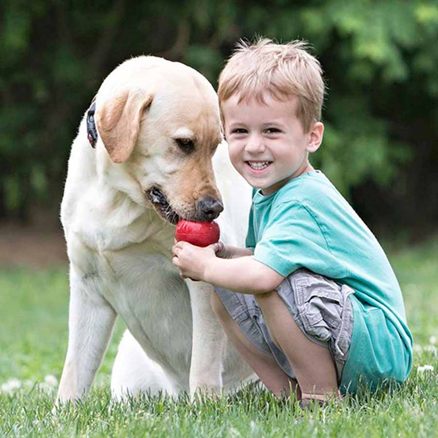 Hundleksak KONG Classic X-Small Röd