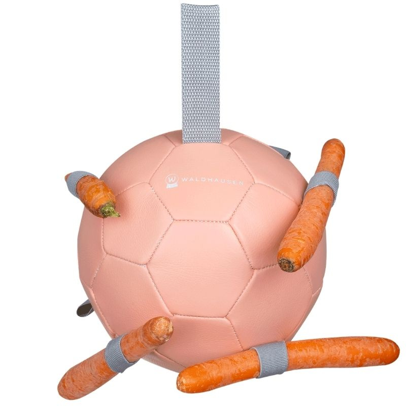 Hästleksak Carrot Ball Rosa