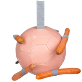 Hästleksak Carrot Ball Rosa Hästleksak Carrot Ball Rosa