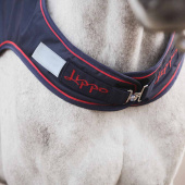 Skrittmaskinstäcke Walker Basic 600D 0g Marinblå Skrittmaskinstäcke Walker Basic 600D 0g Marinblå