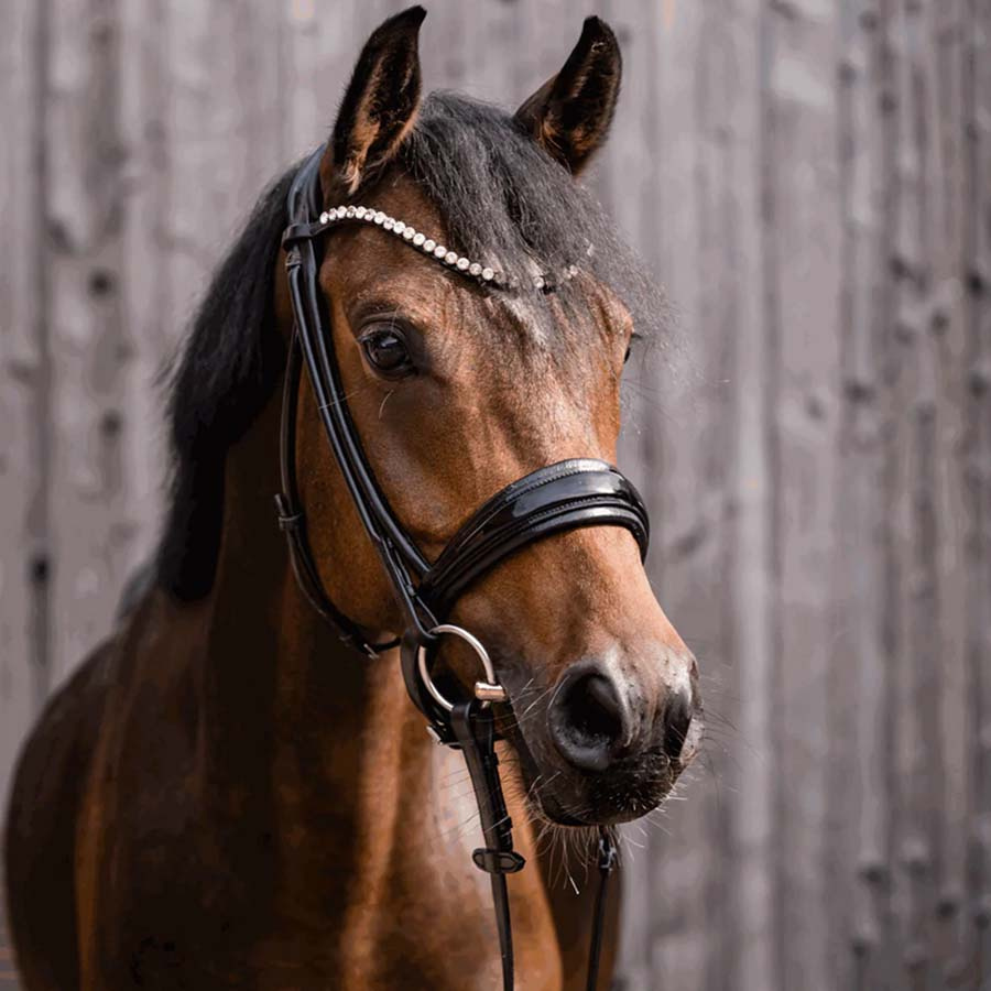 3-delat Bett Dynamic RS Sensogan Ø55mm