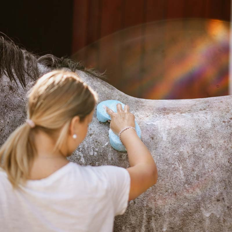 Tvättsvamp Cellulose Grooming Sponge Blå