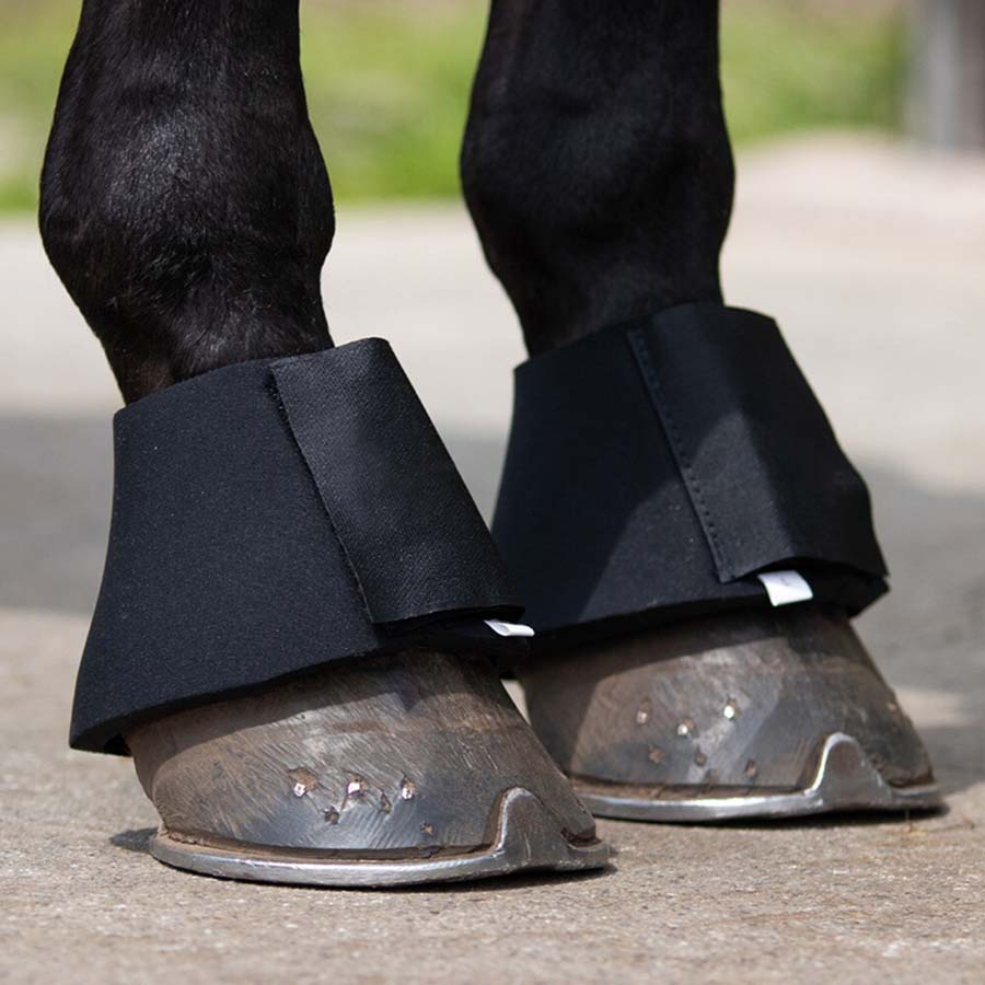 Boots Basic Neoprene Svart