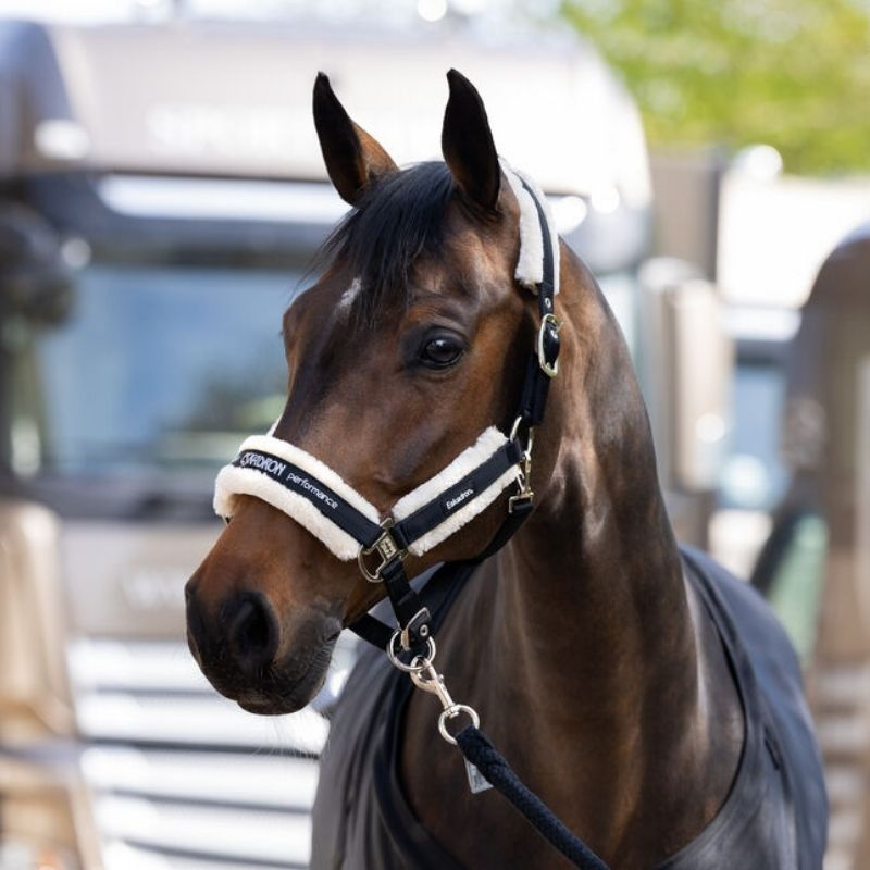 Grimma Fauxfur Double Pin Svart