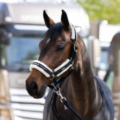 Grimma Fauxfur Double Pin Svart Grimma Fauxfur Double Pin Svart