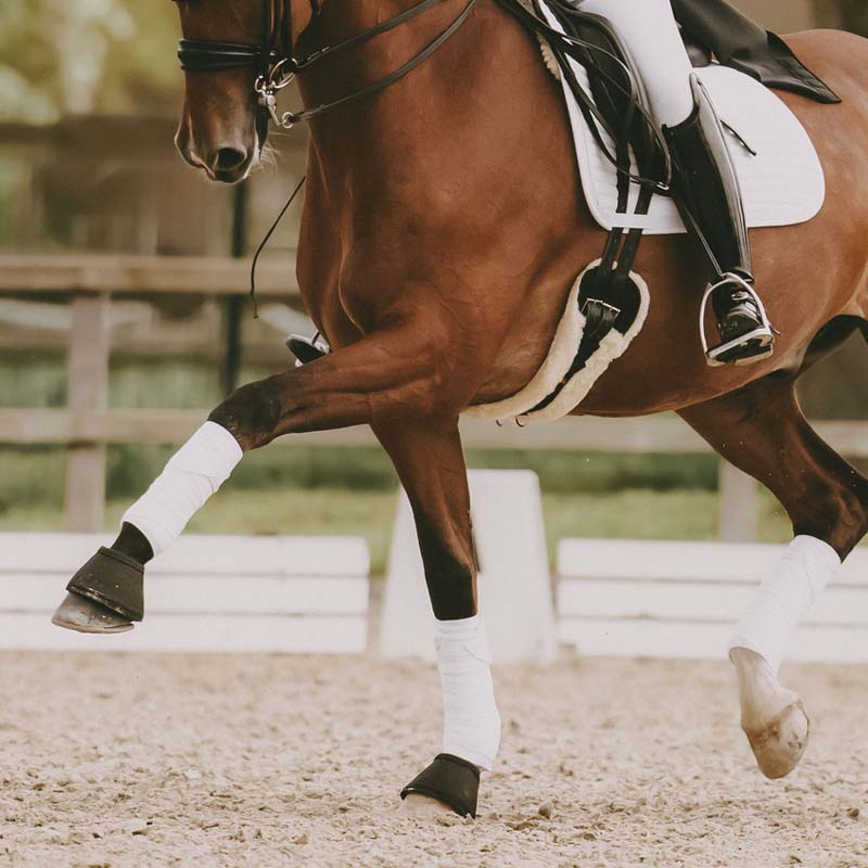 Benlindor Polar Fleece Pearls Vit