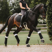 Benpaddar Working Absorb Vit/Svart Benpaddar Working Absorb Vit/Svart