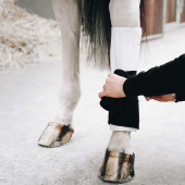 Benpaddar Working Absorb Vit/Svart Benpaddar Working Absorb Vit/Svart